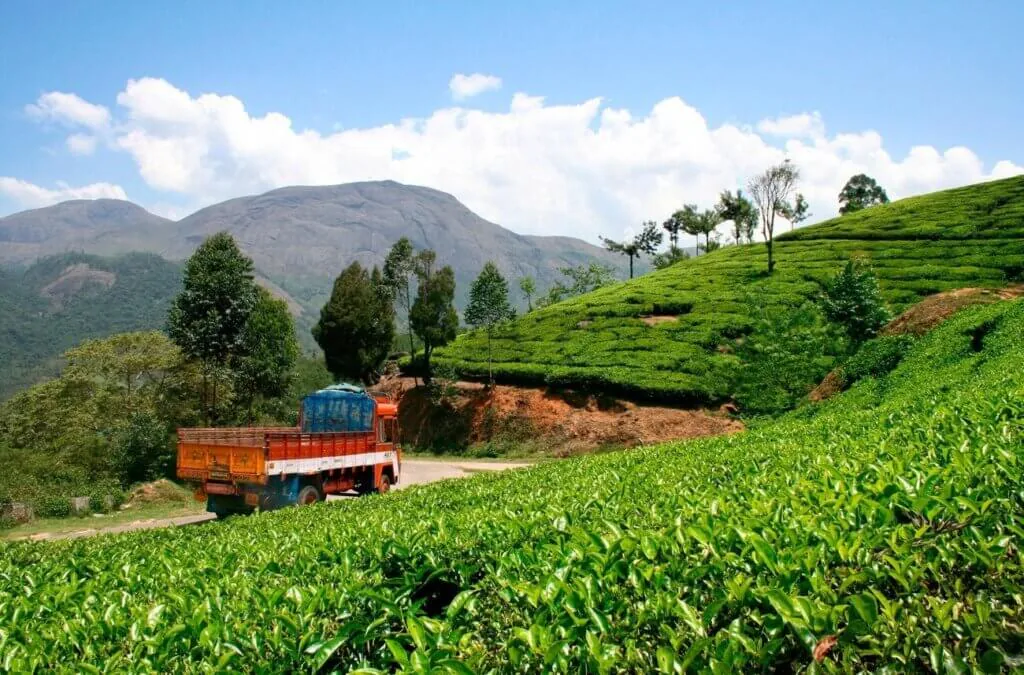 Munnar Road