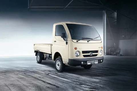 Light & Medium Duty Trucks